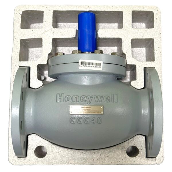 FLANGE GLOBE VALVES V5GV2W